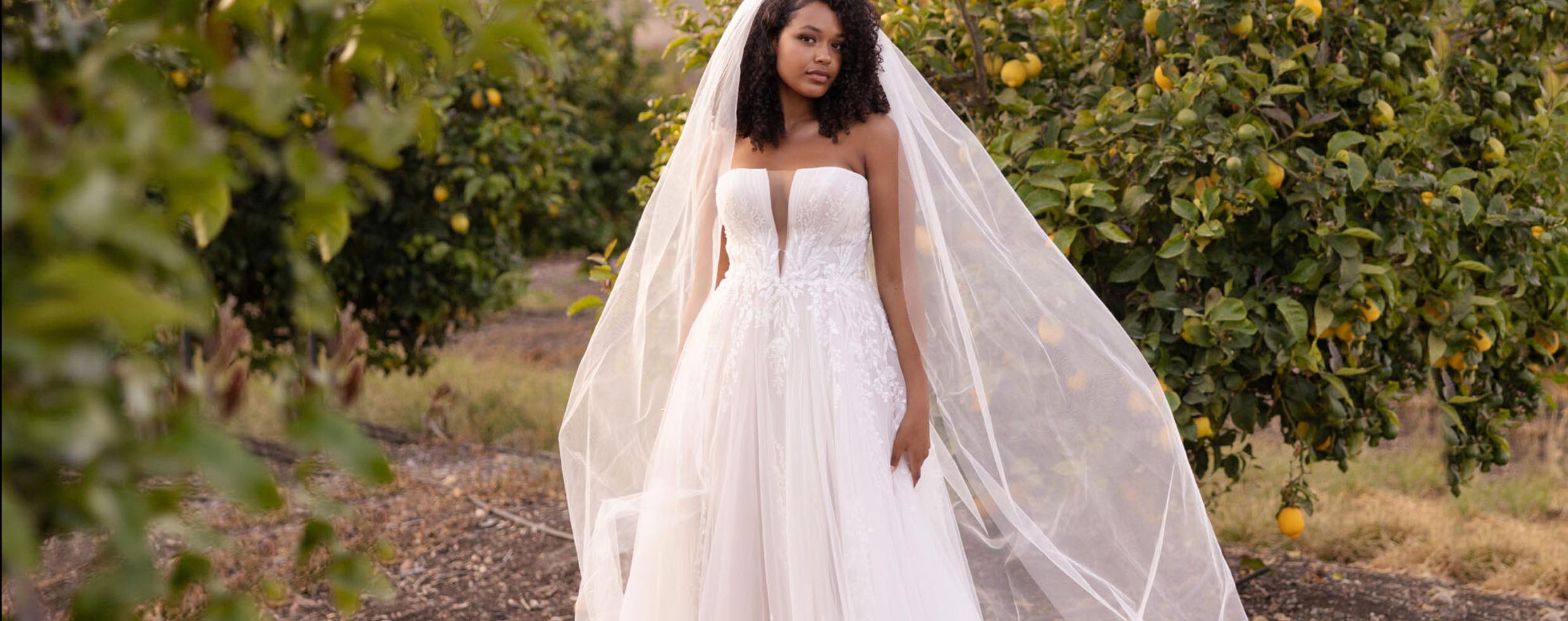 Allum & sidaway Bridal - Introducing Stella York
